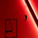 L'ombre Du Desir Secret Trélazé