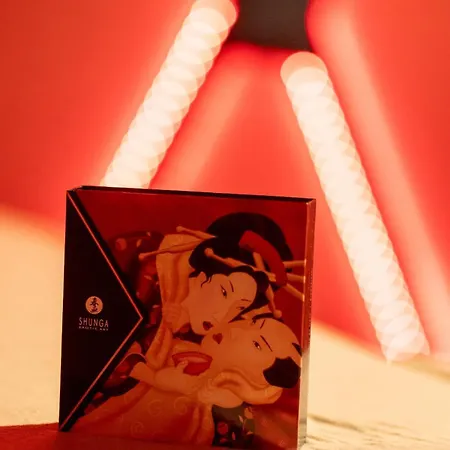 L'ombre Du Desir Secret 아파트 Trélazé