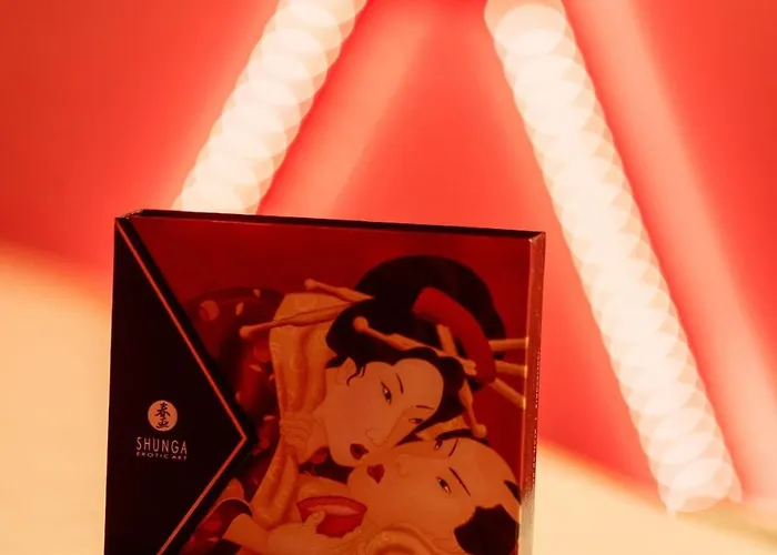 L'ombre Du Desir Secret Apartmán Trélazé